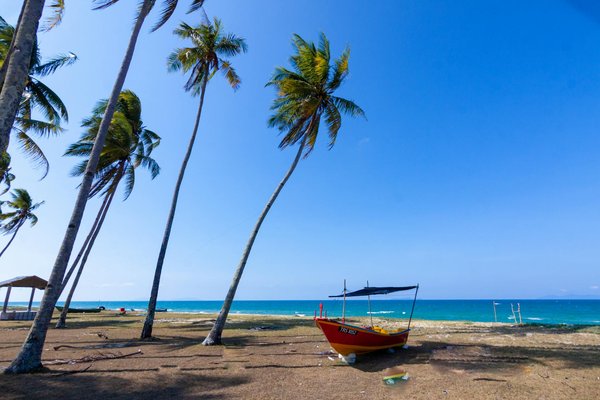 Hoe kunnen reizigers optimaal profiteren van wellnessfaciliteiten op een cruise?