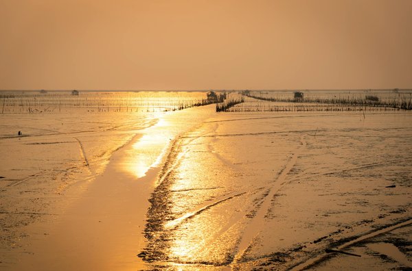 Wat zijn de tips voor het verkennen van de Amsterdamse grachten met een boot?