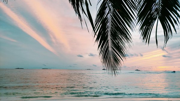 Hoe maak je je kampeeravontuur onvergetelijk met unieke ervaringen?